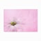 Trademark Fine Art Outdoor Canvas Art - Jacky Parker 'Softness' Wall Art for Patios, or Gardens 1X10007-OC1219WR - alternate 4