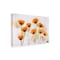 Trademark Fine Art Outdoor Canvas Art - brigitte van krimpen 'Poppy Art' Wall Art for Patios, or Gardens 1X19576-OC1624WR - alternate 1