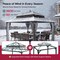 Sunjoy Kingston 14x12 Gazebo, Steel Hardtop Gazebo with Curtain and Netting - Brown Aluminum Posts A10204366200 - alternate 5