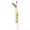 Anzzi Cici Series 39 in. 2-Jetted Shower Tower with Heavy Rain Shower and Body Jets SP-AZ081BG - alternate 1