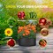 Ipower Grow Bag 1 Gallon Heavy Duty Plant Pots, 300g Thick Nonwoven, Black 2024 Version, 6PK GLGROWBAG1X6BLK - alternate 4
