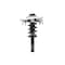 Fcs Struts Suspension Strut And Coil Spring Assembly 1335832L - alternate 1