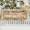 Signmission Farm Fresh Cantaloupe, 48 Inch x 120 Inch, Vinyl Banner B-120-30584 - alternate 4