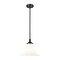 Z-Lite Fleur Matte Black 1 Light Pendant 1958P12-MB - alternate 1
