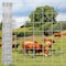 Wrightmaster 58.8 in. x 328 ft. 14-Gauge Reinforced Hot-Dip Galvanized Poultry Fencing ZOR-P461624 - alternate 4