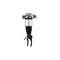 Fcs Struts Electronic Air Suspension Strut Assembly 99012 - alternate 4
