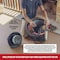 Craftsman 5 Gallon 7.8 Amp Ash And Grilling Portable Vac, Dry Only With Attachments CMXEVBE17050 - alternate 9