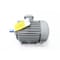 Teco AC MOTOR 230V/460V-AC 1745RPM 5HP 3PH 184T AEHH8N EP0054 - alternate 4
