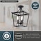 Vaxcel Cottage Grove 11-in Matte Black Traditional Open Cage Lantern Semi-Flush Ceiling Light C0377 - alternate 6