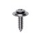 Auveco 10 x 3/4in #8 Head Phillips Oval Head Sems Washer Tapping Screw, 100PK 3466 - alternate 1