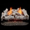 Bluegrass Living Vent Free Dual Fuel Log Set, 24 in Birch Wood, 33,000 BTU, Remote Control B24DR-ES3 - alternate 1