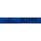 Mytee Products Ratchet Tie-Down Straps w/ Flat Hooks, 2inx30ft Ratchet Straps Blue, 10,000 lbs BS RS230B - alternate 6