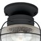 Vaxcel Chatham Black Coastal Globe Outdoor Flush Mount Ceiling Light Clear Glass T0144 - alternate 4