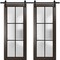 Sartodoors Sturdy Double Barn Door with Frosted Glass Planum 2122 36x96 (2* 18x96) Solid Core Modern Interior PLANUM2122DB-CA-36 x 96 (2* 18x96) - alternate 1