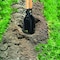 Ames Post Hole Digger, Hardwood Handle, Measuring Stick, Cushion Grip 2701600 - alternate 4