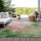 Homeroots 5' X 8' Pink And Green Abstract Washable Indoor Outdoor Area Rug 604816 - alternate 5