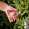 Corona Tools Yard Essentials Houseplant Pruners, Variety Pack BP13624 - alternate 3