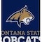 Coverking UNIVERSAL SEAT VEST DESIGNER 1PC, MONTANA STATE UNIVERSITY, ELA44 USVELA44 - alternate 2
