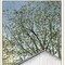 Homeroots Set Of Two Country Barns 1 White Framed Print Wall Art, 2PK 406631 - alternate 3