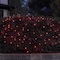 Celebrations Classic LED T5 Red 100 ct Net Christmas Lights 4 ft. RNT100RDA - alternate 5
