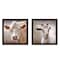 Homeroots Set Of Two Up Close on the Farm Black Framed Print Wall Art, 2PK 405881 - alternate 1