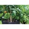 Smart Pot 5 Gal. Black Fabric Multi Purpose Grow Bag 21005 - alternate 3
