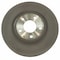 Motorcraft Disc Brake Rotor,  BRRF204 - alternate 7