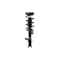 Fcs Struts Suspension Strut And Coil Spring Assembly 1334485L - alternate 1
