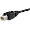Startech.Com 1 FT PANEL MOUNT USB CABLE B TO B - F/M USBPNLBFBM1 - alternate 1