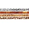 Musgrave Pencil Co Jungle Fever Assortment Pencil, 144PK MUS1023G - alternate 2