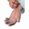 Ambitex V5101 Series Latex-Free Powdered Vinyl Gloves, 3 mil, X-Large, Clear, 100PK VXL5101 - alternate 2