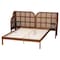Baxton Studio Cascadia Mid-Century Modern Walnut Brown Wood Queen Size Wingback Platform Bed 252-13900-ZORO - alternate 6
