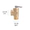 Proline Series 3/4-in F1960 PEX Brass Isolation Valve Kit w/ Pressure Relief Valve 102-140 - alternate 5