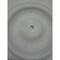 Wilden PUMP DIAPHRAGM 5IN TEF-93 - alternate 5