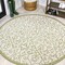 Jonathan Y Madrid Vintage Filigree Textured Weave Green/Cream 5 ft Round Indoor/Outdoor Area Rug SMB107H-5R - alternate 1