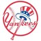 Coverking UNIVERSAL FLOORMAT WITH NEW YORK YANKEES LOGO HW3AD2 - alternate 2