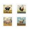 Homeroots Set Of Four Farm Animals 2 White Framed Print Wall Art, 4PK 405908 - alternate 1