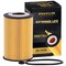 Premium Guard Engine Oil Filter,  PG8176EX - alternate 1