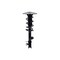 Fcs Struts Suspension Strut And Coil Spring Assembly 1334146L - alternate 1