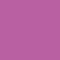 Roaring Spring Miquel Rius 1-Subject Graph, PK10 49427CS - alternate 5