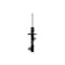 Fcs Struts Suspension Strut 334299L - alternate 1