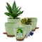 Campior Green Self Watering Pots, Indoor and Outdoor Plant Pots with Wick Rope and Drainage Holes, 5PK CAMPPLTGR055 - alternate 1