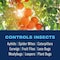 Bioadvanced Insect Killer Control, Liquid, Spray Application, Indoor, Outdoor, 32 oz Sprayer 820164B - alternate 4