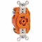 Leviton Locking Receptacle, L23-20R, 20 A, 347/600V AC, Three Phase, 4 Pole, Flush Mount, Screw Terminals 2530-IG - alternate 1