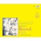 Strathmore 300 Series Bristol Pad, Smooth Finish, Tape Binding, 20 Sheet, 14x17 inch P342-14-1 - alternate 1