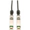 Tripp Lite SFP+ Cable, 10Gbase, Copper, Black, 1m N280-01M-BK - alternate 1