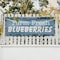Signmission Farm Fresh Blueberries, 36 Inch x 96 Inch, Vinyl Banner B-96-30580 - alternate 3