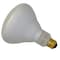 Ilc Replacement for Philips 300r/fl replacement light bulb lamp 300R/FL PHILIPS - alternate 3