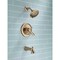 Delta Lahara Monitor 17 Series Tub & Shower Trim T17438-CZ - alternate 6