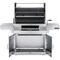 Napoleon Professional 605 Charcoal Kettle Grill, 850 sq-in Primary Cooking Surface, Stainless Steel PRO605CSS - alternate 4